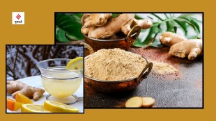 winter diet ginger juice empty stomach helps for digestion remedies health tips gujarati news