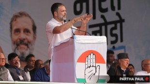 rahul gandhi, lok sabha election 2024, Congress