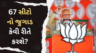 BJP Seats in Lok Sabha Elections