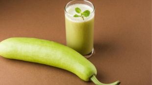 Bottle Gourd photo