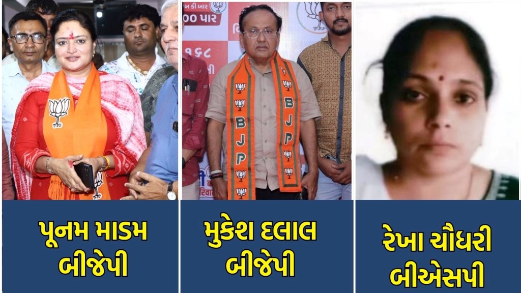 Gujarat lok sabha election richest candidate | લોકસભા ચૂંટણી રોડપતિ ઉમેદવારો