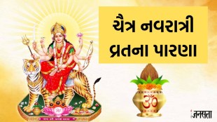 Navratri 2024 Parana Time, Navratri 2024, Chaitra Navratri 2024
