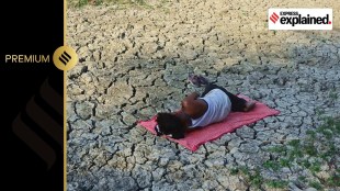 climate change effects and citizen right
