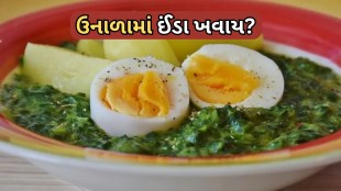 Eggs Eaten in summer