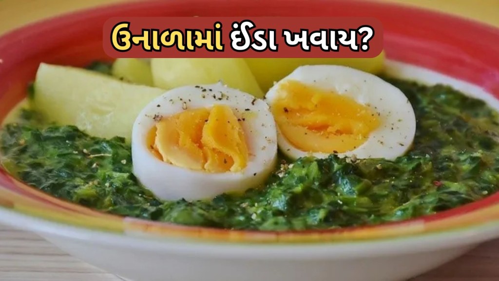 Eggs Eaten in summer