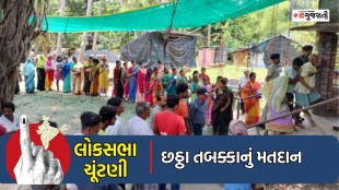 Lok Sabha Election 2024 Phase 6 Voting, Lok Sabha Election 2024, Voting