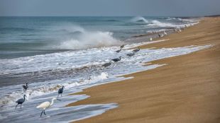 Madhavpur Beach Photo