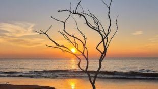 Suvali Beach Surat