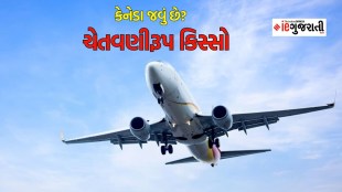 canada Travel visa, canada travel stroy, Indian story who travel to canada