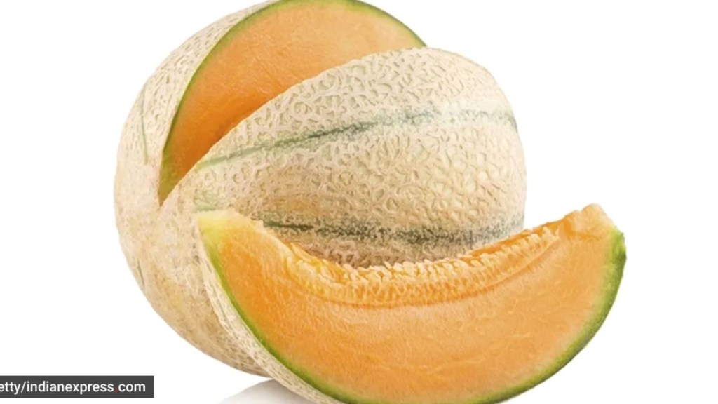 Summer | Monsoon | Double Season Child Care Gujarati | Child Care Gujarati