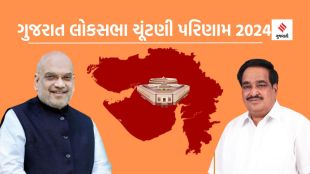 gujarat lok sabha election 2024 result | amit shah | cr patil | gujarat bjp candidate list | navsati bjp candidate | navsati mla cr patil | Gandhinagar bjp candidate | Gandhinagar mla amit shah