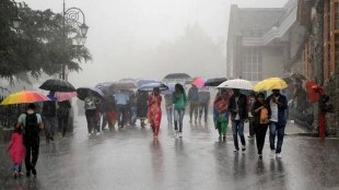 Gujarat Monsoon 2024 Rainfall