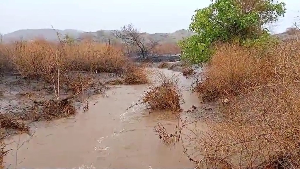Gujarat Rain forecast - 4