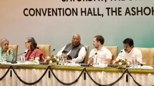Rahul Gandhi Leader of Opposition | CWC Meet