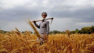 Gujarat farmers, Farmer registration, Farmer Registry Portal,