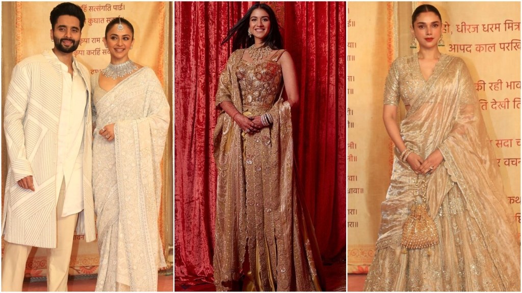 Anant Ambani - Radhika Merchant Reception, Anant Ambani, Radhika Merchant