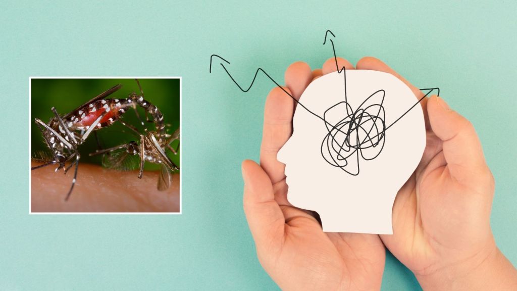 Dengue Fever and Nervous System