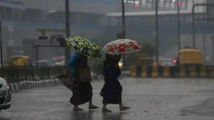 Gujarat Monsoon 2024, Gujarat Rain