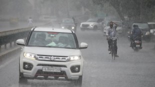 Gujarat Rainfall, Gujarat Rain, Gujarat, Rain, વરસાદ, ગુજરાત વરસાદ