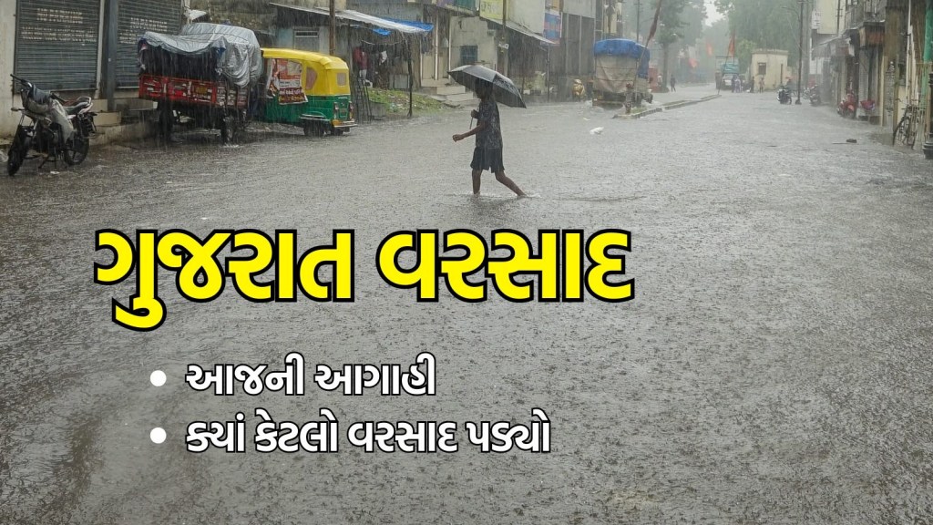 Gujarat Weather Update (હવામાન સમાચાર): ગુજરાતમાં સાર્વત્રિક વરસાદ અને આગાહી