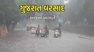 Gujarat Weather Update (હવામાન સમાચાર): ગુજરાતમાં વરસાદ અને આગાહી