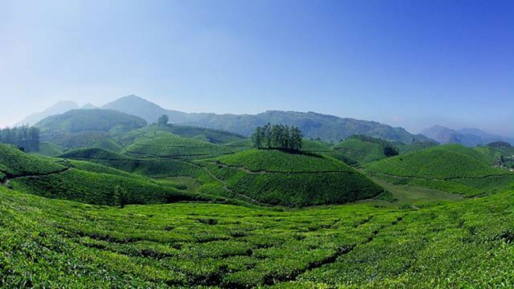 Kerala Tourism Munnar (1)