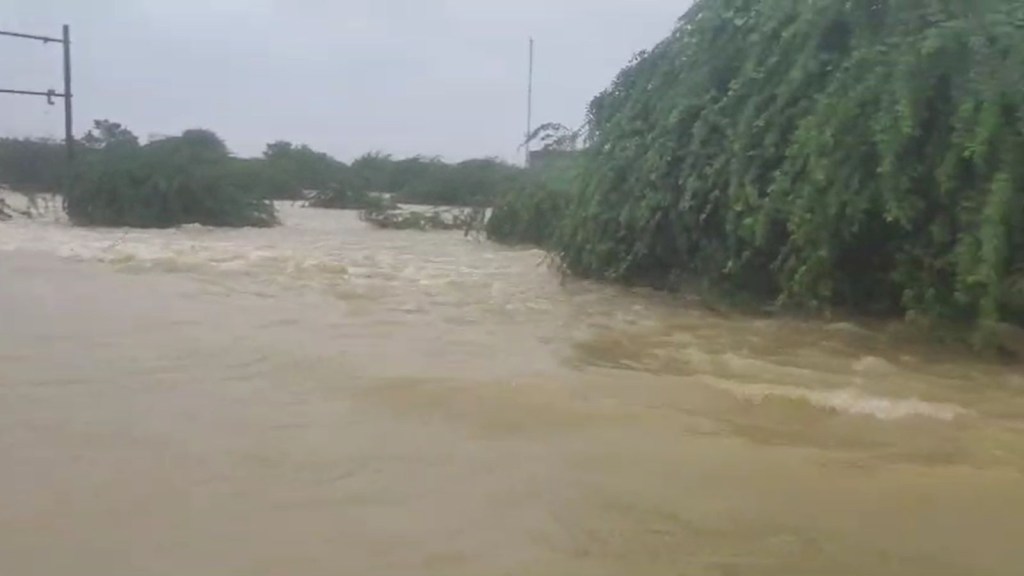 Gujarat Heavy Rain - 1