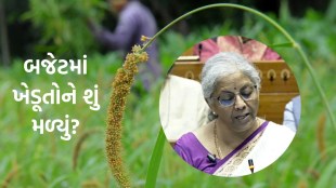 Budget 2024, agriculture budget 2024