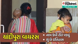 Chandipura Virus History and all Information