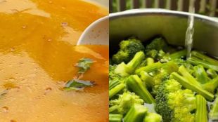 Drumstick Immunity booster soup