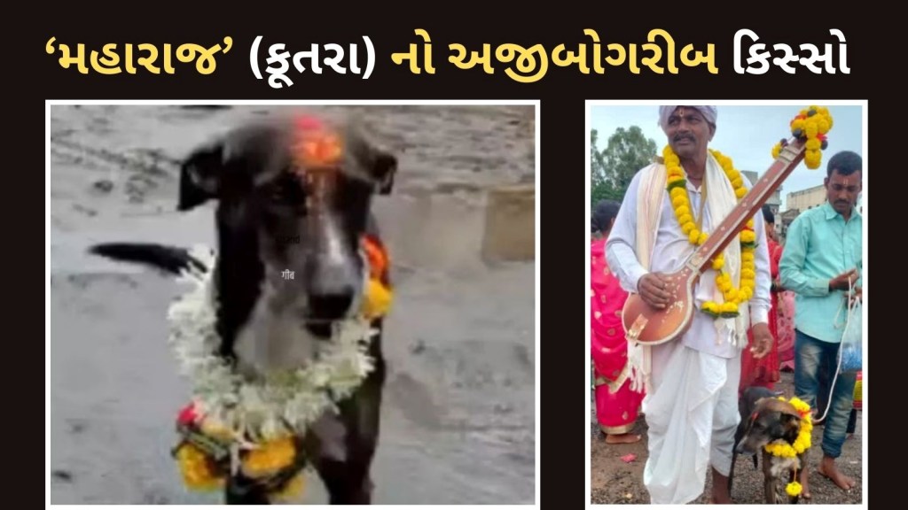Missing Dog Ajab Gajab Case