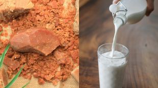 having Jaggery and milk before bed