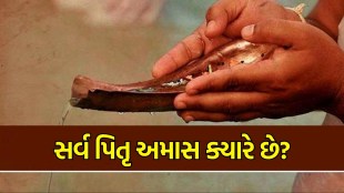 Sarva Pitru Amavasya 2024 Date: સર્વ પિતૃ અમાસ ક્યારે છે