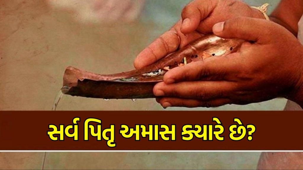 Sarva Pitru Amavasya 2024 Date: સર્વ પિતૃ અમાસ ક્યારે છે