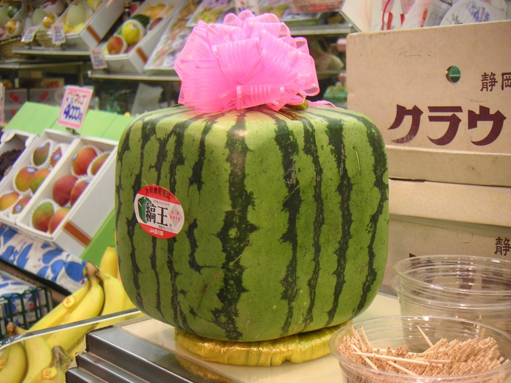 10 Most Expensive Fruits | Worlds 10 most expensive fruits name and price | Worlds 10 most expensive fruits | Fruits