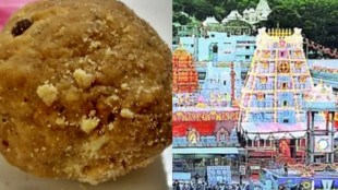tirupati laddu animal fat controversy, tirupati laddu