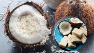 Coconut Burfi Recipe, Burfi Recipe