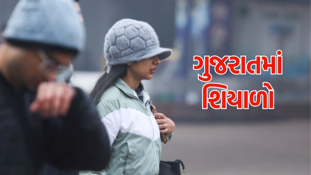 Gujarat Weather Forecast : ગુજરાતમાં બેવડી ઋતુનો અહેસાસ