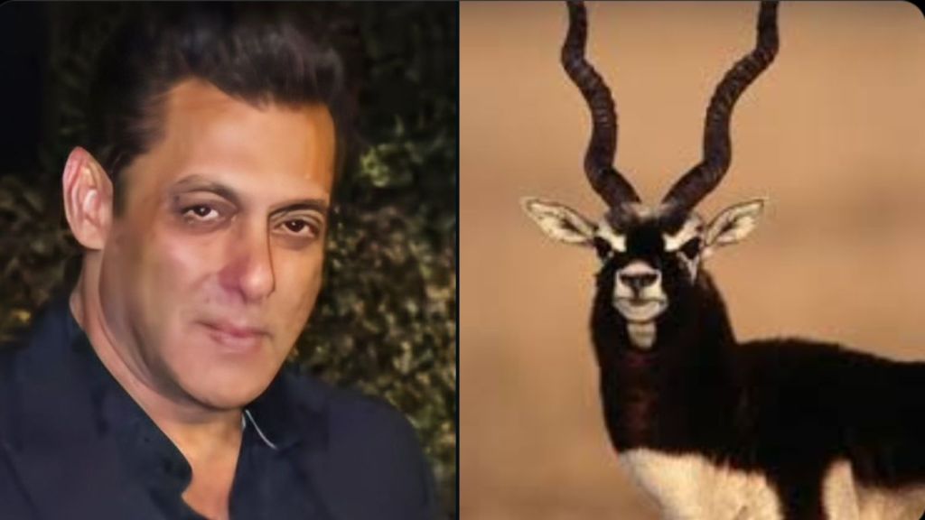 Salman khan gets Advice to apologize to bishnoi community
