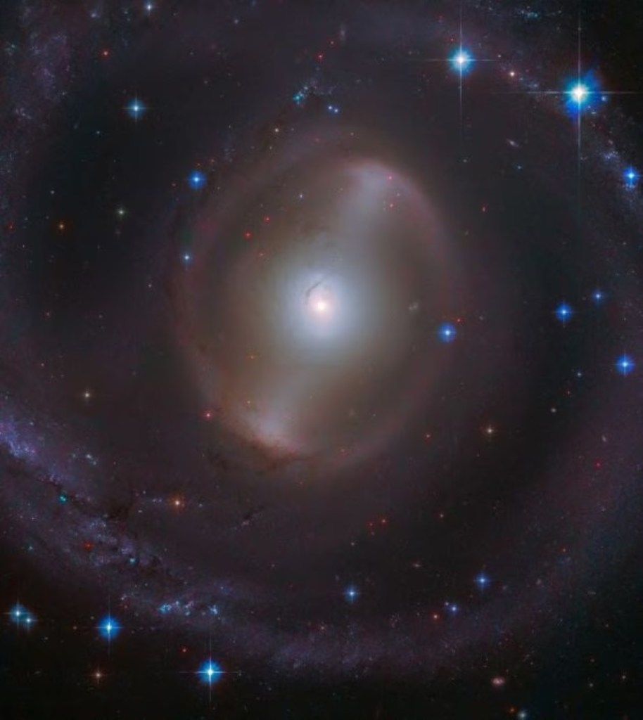 magnificent central bar