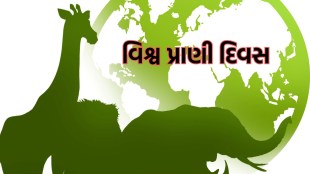 World Animal Day 2024, World Animal Day , વિશ્વ પ્રાણી દિવસ