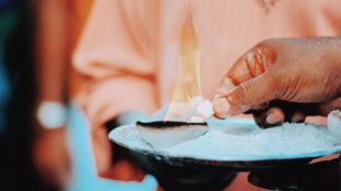 camphor