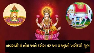 Navratri 2024, navami, dussehra