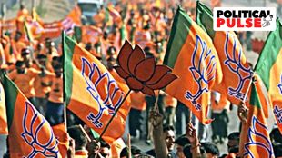 Gujarat BJP, Municipal-Panchayat elections,