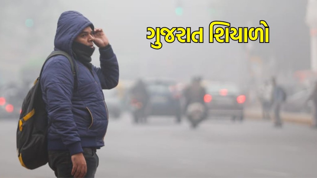 Gujarat Weather Forecast : ગુજરાતમાં ઠંડીનો પારો ગગડ્યો