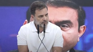 રાહુલ ગાંધી, Rahul gandhi