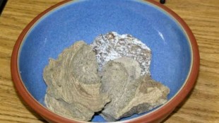 Bhavnagar, Bhavnagar Police, Whale Fish Vomit,