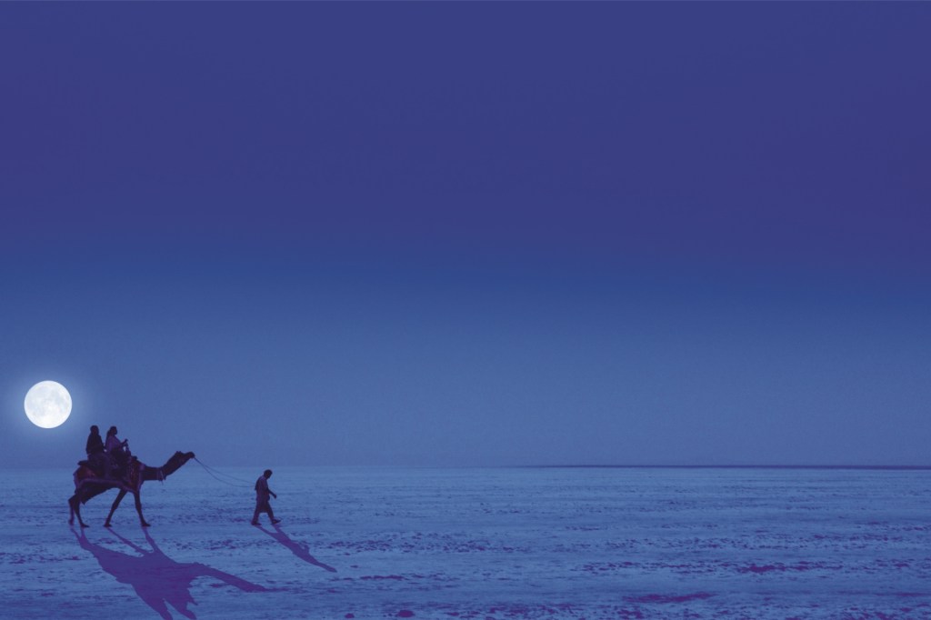 (Photo Source: Gujarat Tourism)