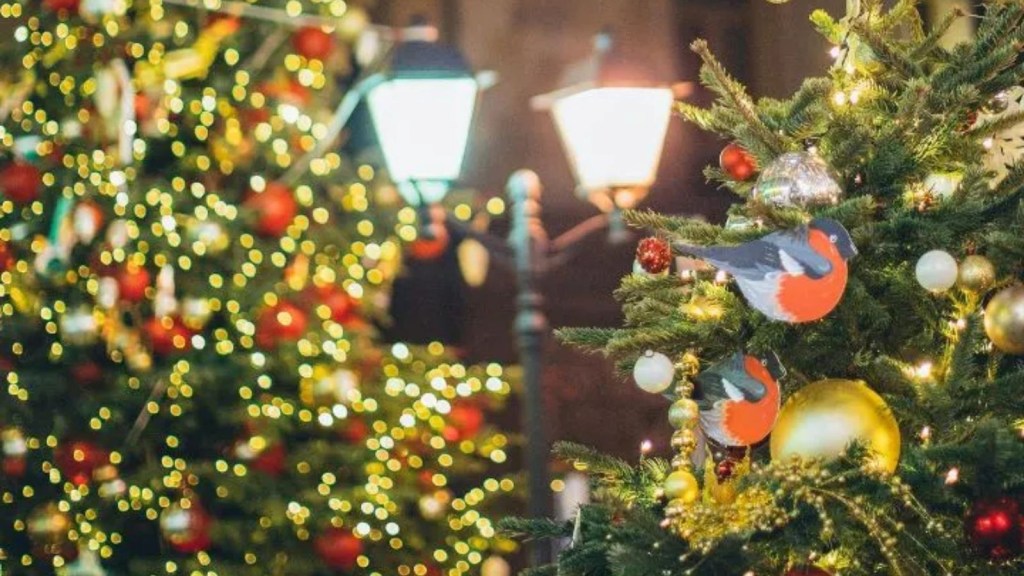  (તસવીર: સોશિયલ મીડિયા)