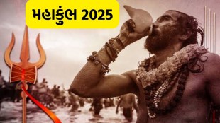 Mahakumbh 2025, Kumbh Mela, Prayagraj Kumbh Mela,